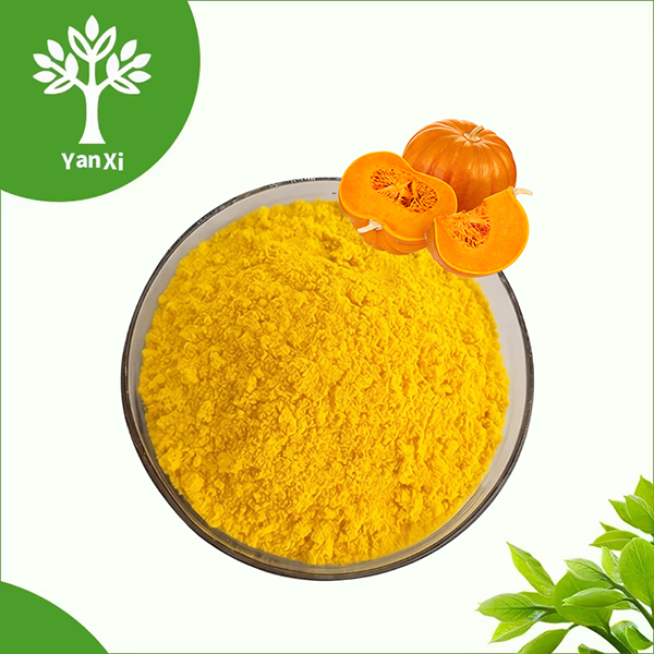Pumpkin Powder Bulk